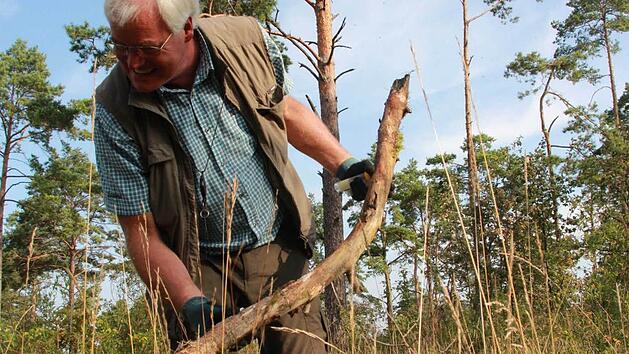 &Auml;hnlich wie seine Fundst&uuml;cke kriecht Manfred Colling schon mal &uuml;ber den Waldboden. "Es wurde auch schon vermutet, ich sei sturzbetrunken", sagt Manfred Colling. Er und der Biologe Tobias Gerlach suchen nach "lebenden Messinstrumenten": Schnecken. Foto: Carmen Schmitt