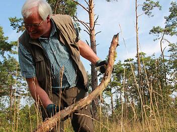 Ähnlich wie seine Fundstücke kriecht Manfred Colling schon mal über den Waldboden. "Es wurde auch schon vermutet, ich sei sturzbetrunken", sagt Manfred Colling. Er und der Biologe Tobias Gerlach suchen nach "lebenden Messinstrumenten": Schnecken. Foto: Carmen Schmitt