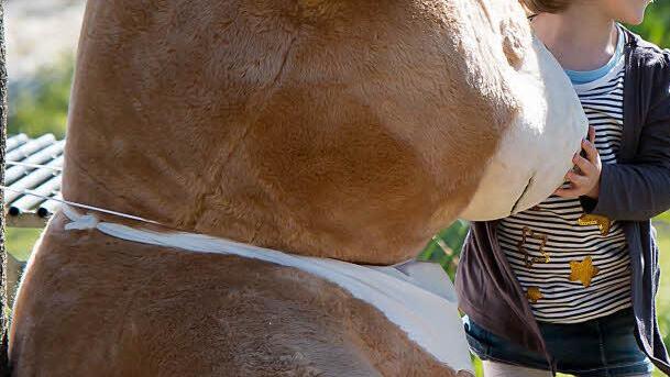Großes Abschlussfest für Neustadt und seine Kinder: das Piratenfest im Freitzeitpark lockte am Sonntag unzählige Familien an. Foto: Albert Höchstädter