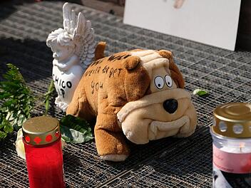 Niedersachsen, Hannover: Blumen, Kerzen, ein Stofftier und ein Engel stehen während der Mahnwache für den eingeschläferten Hund Chico vor dem Ordnungsamt. Der Staffordshire-Mischling hatte Anfang April seine Besitzer totgebissen, eine 52 Jahre alte Frau im Rollstuhl und deren 27 Jahre alten Sohn. Foto: Peter Steffen/dpa