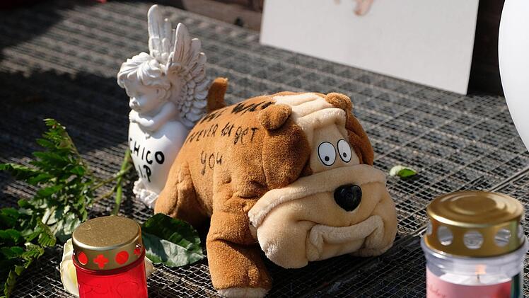 Niedersachsen, Hannover: Blumen, Kerzen, ein Stofftier und ein Engel stehen während der Mahnwache für den eingeschläferten Hund Chico vor dem Ordnungsamt. Der Staffordshire-Mischling hatte Anfang April seine Besitzer totgebissen, eine 52 Jahre alte Frau im Rollstuhl und deren 27 Jahre alten Sohn. Foto: Peter Steffen/dpa