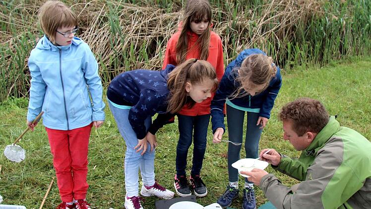 Biologe Paul Heidner (r.) erklärte den Kindern, was sie mit dem Kescher gefangen haben.   Foto: Richard Sänger
