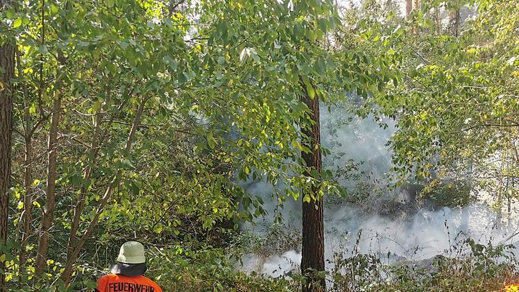 Waldbrand ruft Feuerwehr auf den Plan