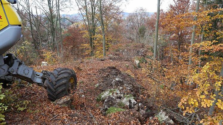 Foto: Barbara Herbst