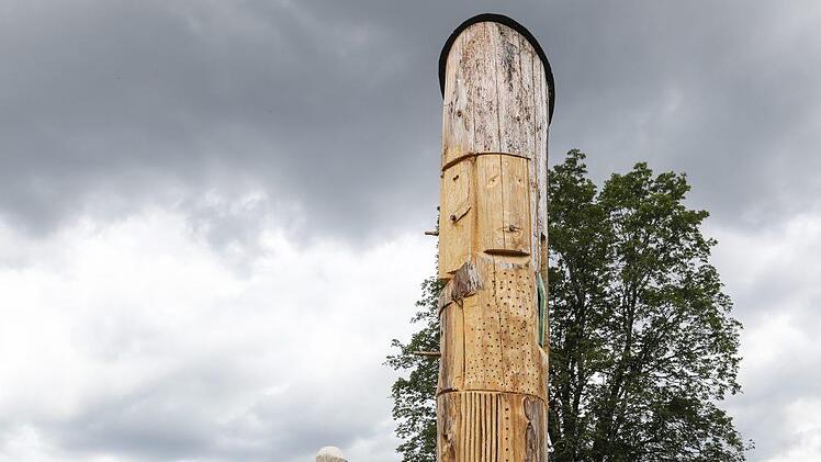 Michael Steigerwald ist  einer von drei Holzbildhauern, die die 19 Baumstümpfe gestaltet haben.