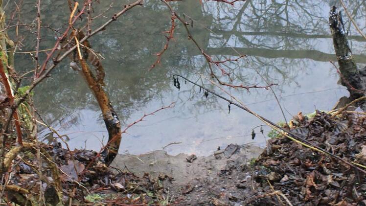 Eine Trampelspur im Garten von Alfred Hoffmann. Sie führt vom Fluss zu seinen Apfelbaum. Foto: Dominic Buckreus