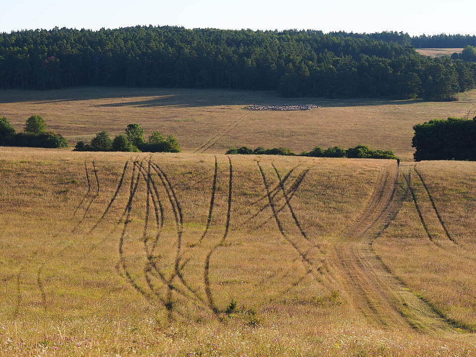 Das verlassene Dorf Bonnland darf bei einer Wanderung durch den Truppenübungsplatz Hammelburg nicht fehlen. Foto: Jürgen Schmitt
