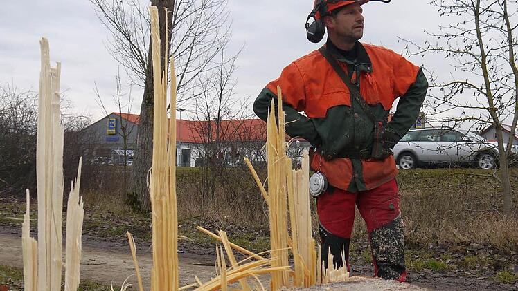 Karl-Heinz Hesse ist der Mann, der die 62 Pappeln zwischen Weihausen und Sonnefeld fällt. Fotos: Berthold Köhler