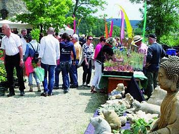 So bunt und blumig wie bei der Rosen- und Gartenmesse in Königsberg (Bild) soll es auch beim Ostermarkt in Thurnau werden. Foto: privat