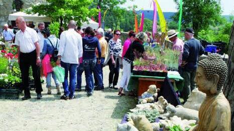 So bunt und blumig wie bei der Rosen- und Gartenmesse in Königsberg (Bild) soll es auch beim Ostermarkt in Thurnau werden. Foto: privat