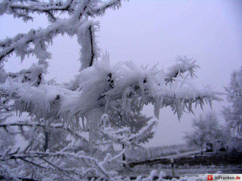 Eis und Schnee in Franken - die schönsten Winterleserfotos