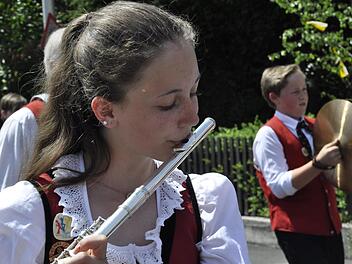 Über 1000 Musiker feierten sich und ihr Hobby beim Bundesbezirksmusikfest in Burkardroth. Bei zwei Paraden mit 35 Kapellen aus der ganzen Region zogen sie durchs Dorf und demonstrierten, dass Musik aus mehr besteht als Noten. Foto: Peter Klopf