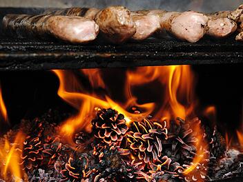Coburger Bratwürste werden traditionell über Kiefernzapfen gebraten.Sind sie der Grund für erhöhte Benzo[a]pyren-Werte? Inzwischen ermittelt die Staatsanwaltschaft. Symbolbild: David Ebner/dpa