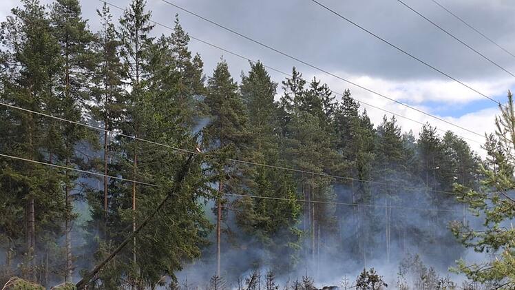 Martinlamitz: Große Waldfläche in Flammen - Kripo ermittelt