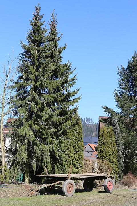 SoS Steinwiesen Lkr. KC; Foto: Barbara Herbst