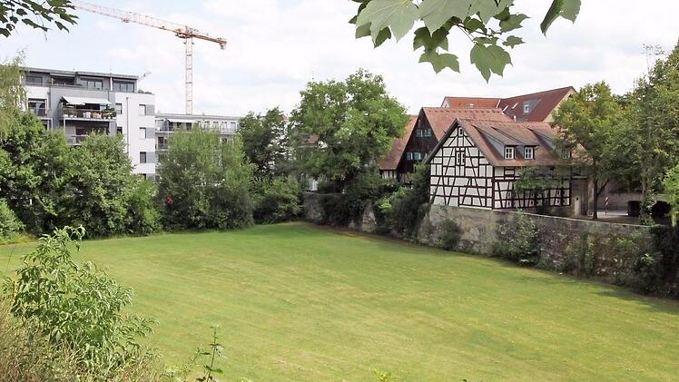Schlimmer geht's nimmer: Diese grüne Ecke, den ehemaligen Krankenhausgarten beim Wohnquartier am Stadtpark , schlägt ISEK als Standort für eine Stadthalle vor.  Foto: Andreas Oswald