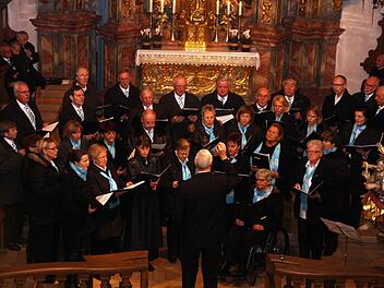 Der Germischte Chor aus Effeltrich bei dem, was seine Mitglieder am liebsten tun: singenFotos: privat