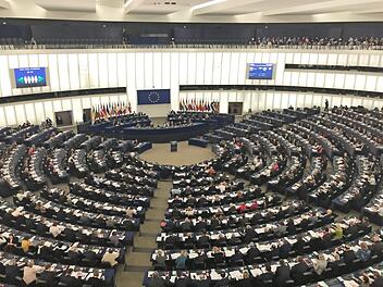 Die Parlamentarier im Europäischen Parlament (hier in Straßburg) beschäftigen sich immer wieder mit den Senioren. Doch die praktischen Umsetzungen erfolgen an anderer Stelle, wie zum Beispiel in Herzogenaurach.  Foto: Michael Busch