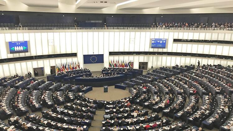 Die Parlamentarier im Europäischen Parlament (hier in Straßburg) beschäftigen sich immer wieder mit den Senioren. Doch die praktischen Umsetzungen erfolgen an anderer Stelle, wie zum Beispiel in Herzogenaurach.  Foto: Michael Busch
