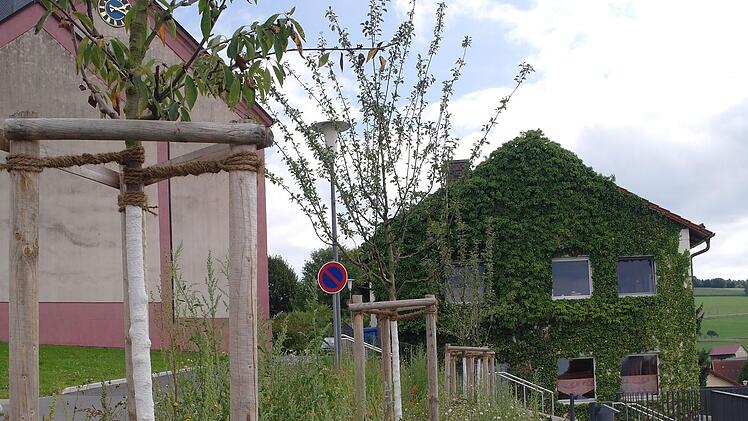 Am barriererfreien Zugang zum Josefsheim hat die Gemeinde eine Blühwiese angelegt.  Foto: Stephanie Elm