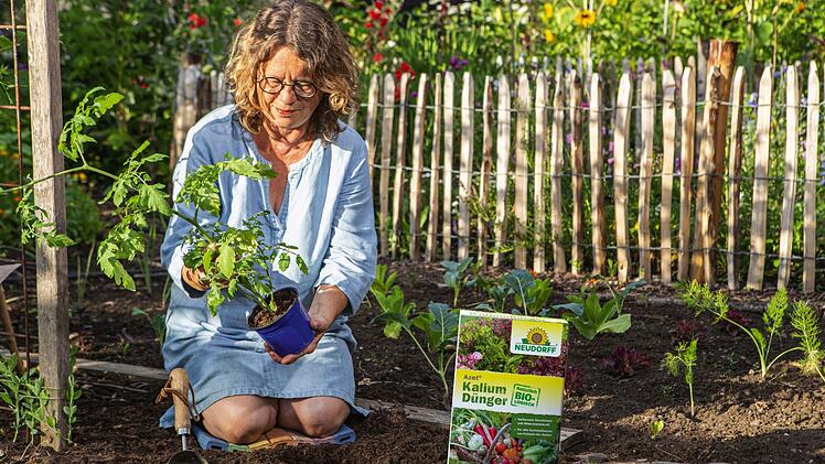 Garten, Gartenarbeit, Rasen, Wiese, Pflege, Werkzeuge, Natur, Angebote,  Neudorff, Düngen, Düngemittel