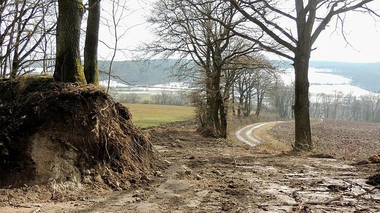 Vom Landratsamt in Bamberg gestoppt: Wegebau in der Schutzzone des Naturparks Steigerwald bei Burgwindheim  Foto: p.