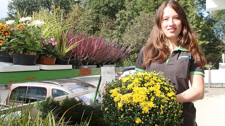 Blühende Herbstboten vom Raiffeisen-Heimwerkermarkt in der Oberauer Straße. Foto: Gerda Völk