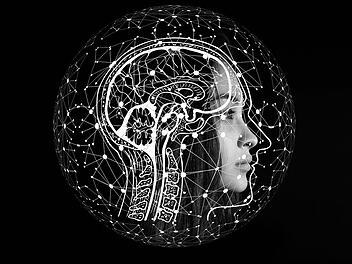 Intelligenz: Ist sie vererbbar?
