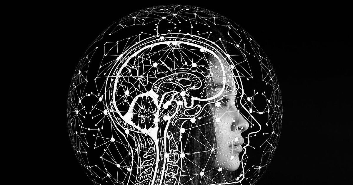 Wie Wird Intelligenz Vererbt Intelligent durch die Gene: Welche Art von Intelligenz wird vererbt?