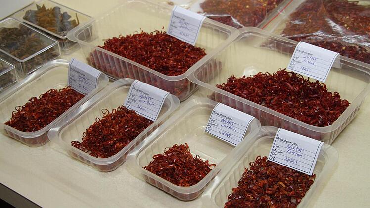 Rückstellmuster aus der Chiliproduktion Foto: Dagmar Besand