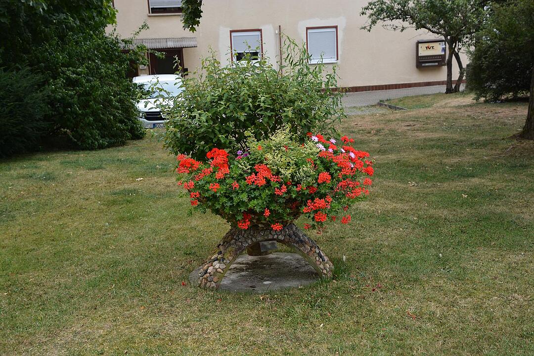 09.09.2015  Fotoreportage Neuensorg