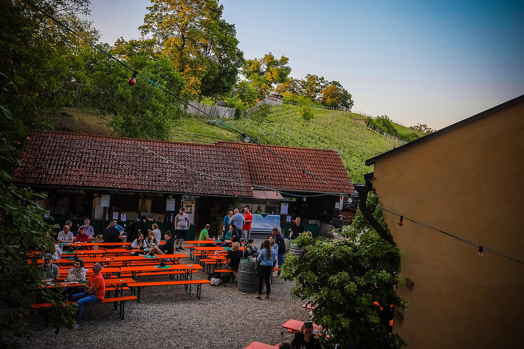 Endlich wieder Weinfest!