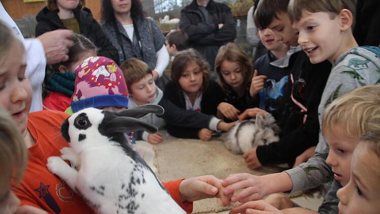 Die Kinder waren begeistert und die Kaninchen neugierig.