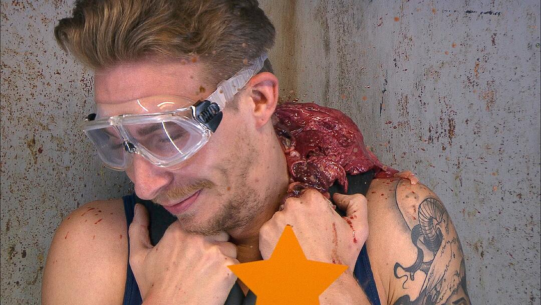 Ich bin ein Star _ Holt mich hier raus!
