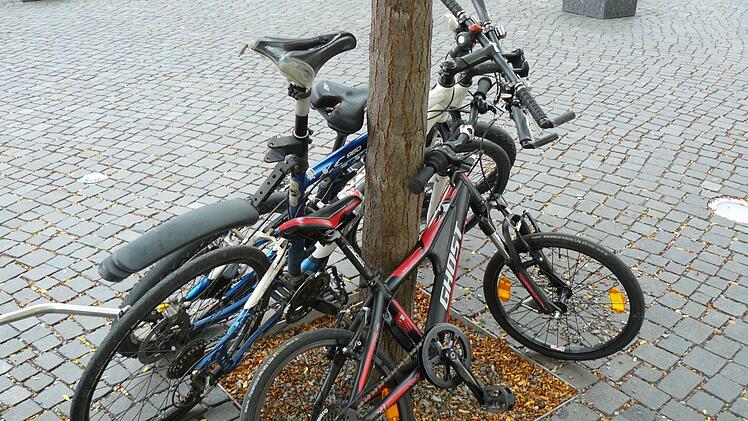 Ein Foto aus vergangenen Tagen, jetzt schützen Gitter die jungen Baumstämme. Foto: Werner Weiss