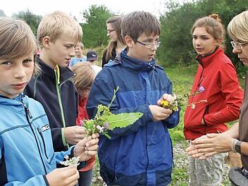 Pflanzen bestimmen: Andrea Musiol (rechts) hilft den Jugendlichen. Foto: Gerda Völk