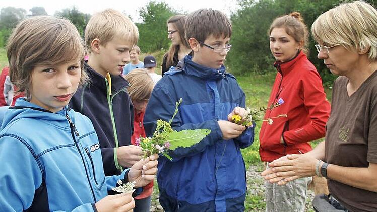 Pflanzen bestimmen: Andrea Musiol (rechts) hilft den Jugendlichen. Foto: Gerda Völk