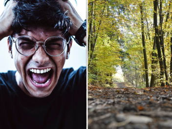 Vermeintliche Hilferufe