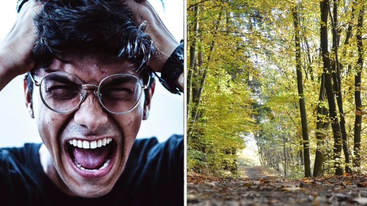 Vermeintliche Hilferufe