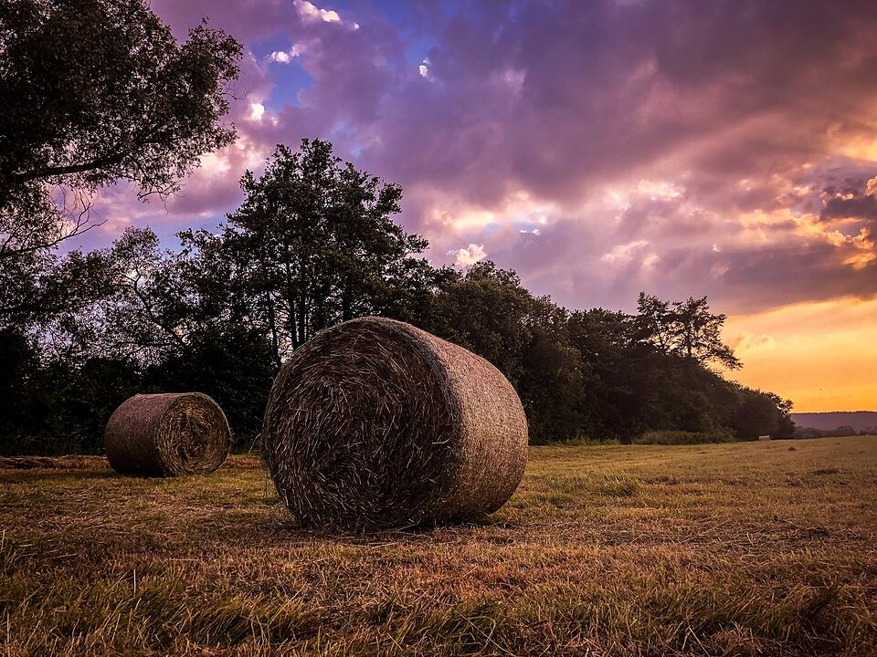 Die schönsten Sommerfotos aus Haßfurt und Umgebung