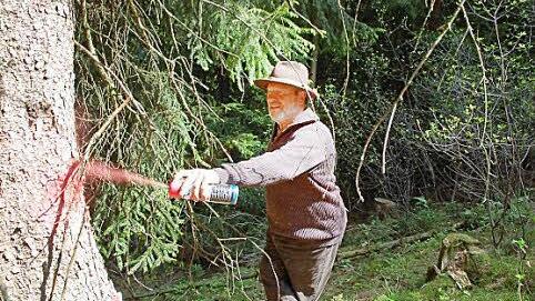 Rainer Göbel markiert einen Baum, der entfernt werden soll, damit der Sonneberger Blick wieder seinem Namen gerecht wird.