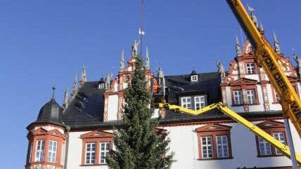 Seit Montagvormittag steht der Coburger Weihnachtsbaum vorm Stadthaus am Marktplatz. Foto: Simone Bastian