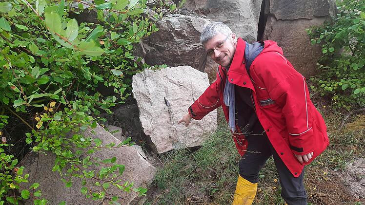 Forscher stoßen in Franken auf zehn Saurier-Schädel - "eine Sensation"