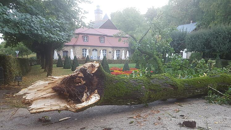Eine riesige Linde stürzte am Sonntag auf die Grünfläche zwischen dem Morgenländischen Bau und dem Schlosscafé in Sanspareil. Menschen kamen dabei nicht zu Schaden, auch Gebäude  wurden durch Sturm "Fabienne" nicht in Mitleidenschaft gezogen.   Foto: Alexander Hartmann