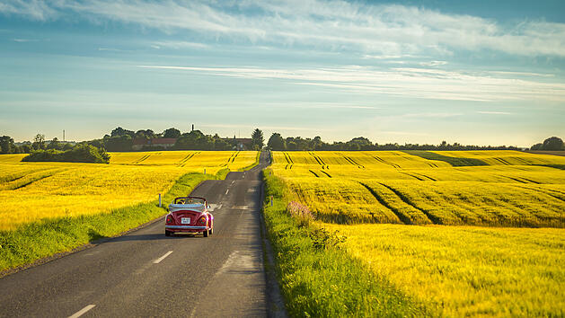 Dennis Borup Jakobsen  Kirkebakken  Old-school car driving through yellow fields near Aarhus.