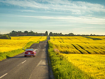Dennis Borup Jakobsen  Kirkebakken  Old-school car driving through yellow fields near Aarhus.