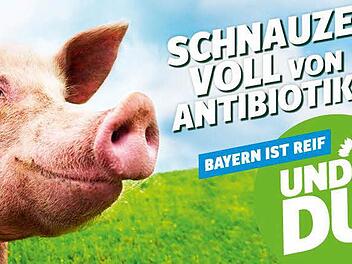 Dieses Plakat stößt den Kulmbacher Landwirten sauer auf.Foto: Bündnis 90/Die Grünen