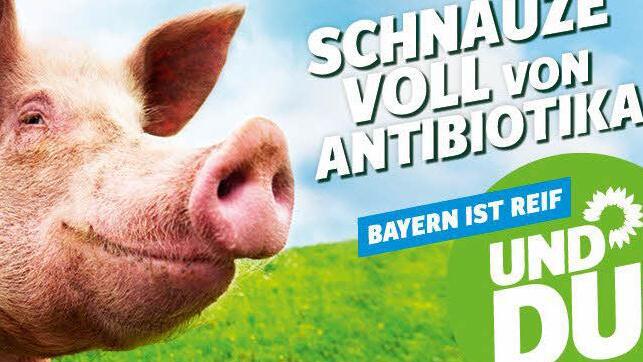 Dieses Plakat stößt den Kulmbacher Landwirten sauer auf.Foto: Bündnis 90/Die Grünen