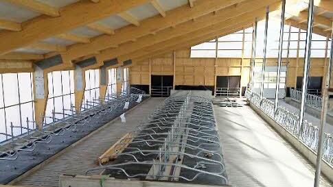 Im neuen Boxenlaufstall haben die Tiere viel Platz zur freien Verfügung.