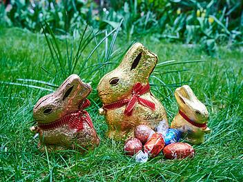 Osterhasen aus Schokolade